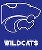 whild-cats-icons